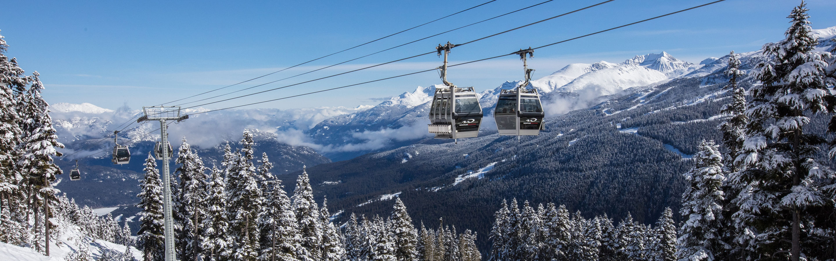 19+ Wood Grain Im Grippin LyanneElliana