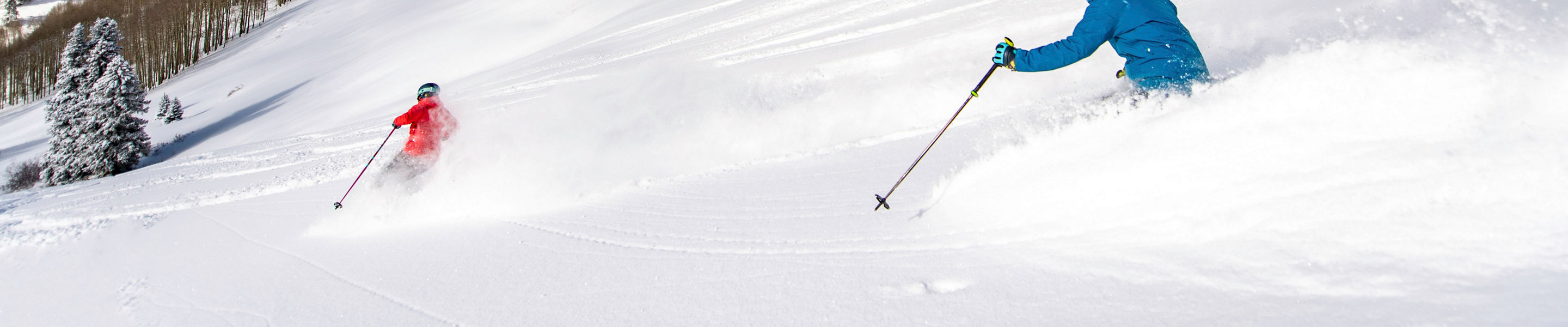 ski rental lionshead vail co Leatrice Ordonez