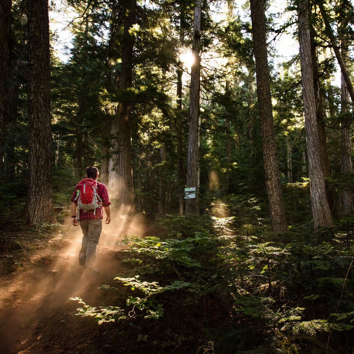 Mitch Winton Whistler July 2021