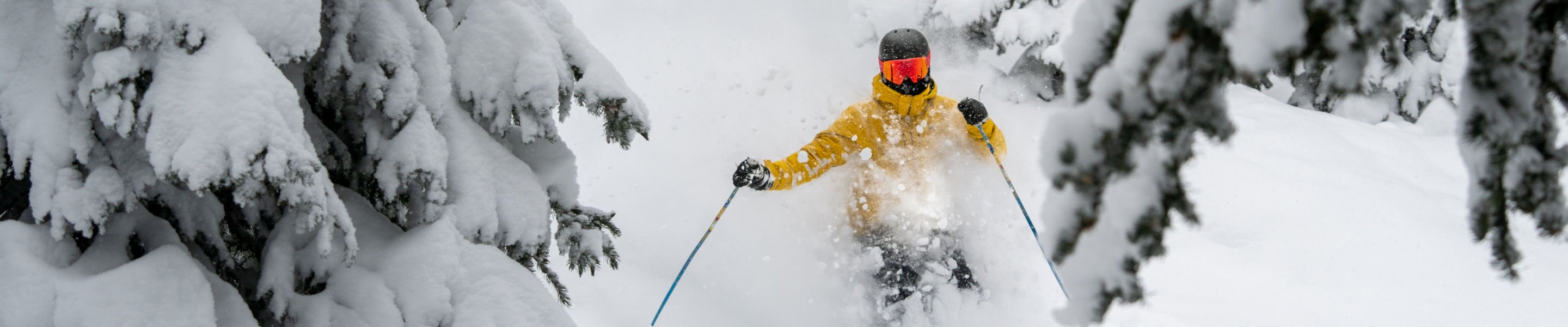 COLORADO SKI RESORTS SNOW REPORT visual data 8