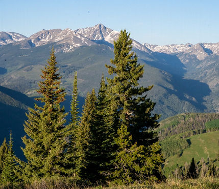 Vail Summer Scenic Views