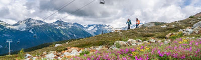 Whistler Ski & Trail Map | Whistler Blackcomb
