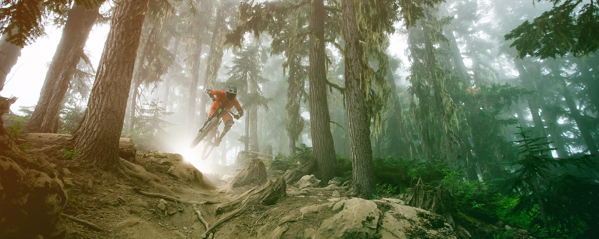 Whistler Mountain Bike Park